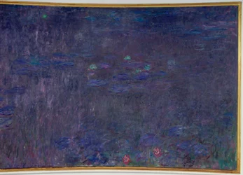 Seerosen: Reflexionen der Bäume, (Detail)